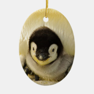 Ornamento De Cerâmica Bebê pinguim