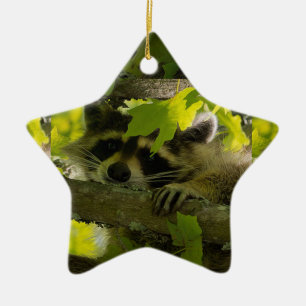 Ornamento De Cerâmica Bebê Roccoon