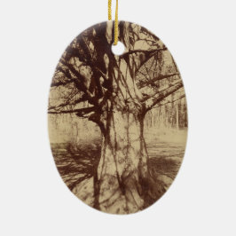 Ornamento De Cerâmica Beech Tree (por Eugène Atget)