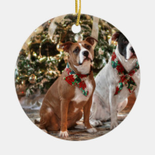 Ornamento De Cerâmica Bela salvação de Natal Pitbull e Boi Cão da Am