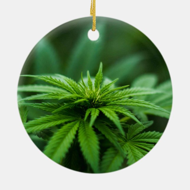 Ornamento De Cerâmica Bela Semana (Traseira)