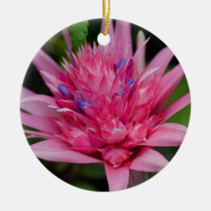 Ornamento De Cerâmica Beleza cor-de-rosa
