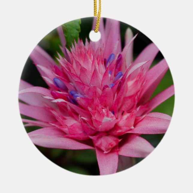 Ornamento De Cerâmica Beleza Rosa (Frente)