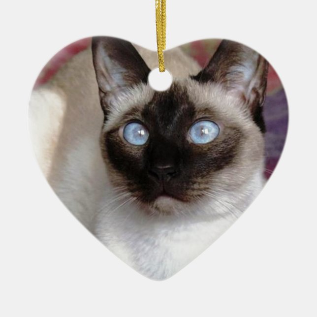 ORNAMENTO DE CERÂMICA BELEZA SIAMESE (Frente)