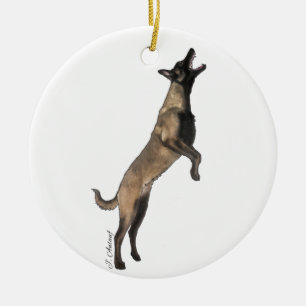 Ornamento De Cerâmica Belgian Malinois Ornament