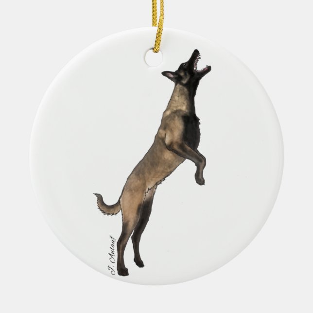 Ornamento De Cerâmica Belgian Malinois Ornament (Frente)