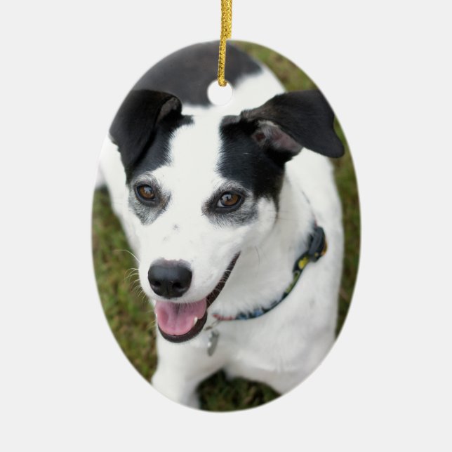 Ornamento De Cerâmica Bella o cão do salvamento (Frente)