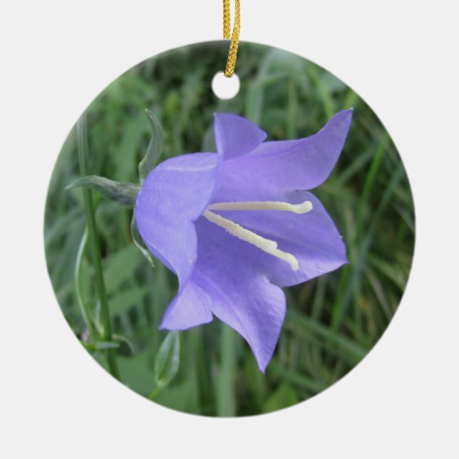 Ornamento De Cerâmica Bellflower (Frente)