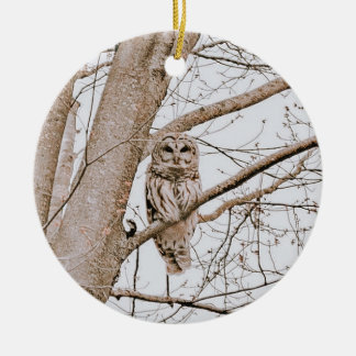 Ornamento De Cerâmica Belo Barred Owl Audubon Natal