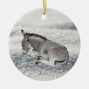 Ornamento De Cerâmica Belo Bebê Burro Cinza na Neve