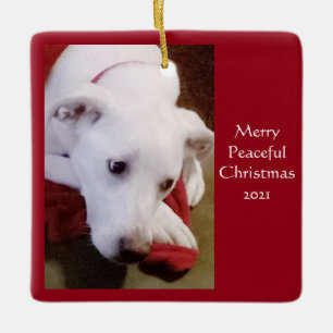 Ornamento De Cerâmica Belo Cachorro Branca de Neve, Natal de Paz