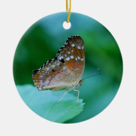 Ornamento De Cerâmica Belo Danaus Plexippus Butterfly em Folha.