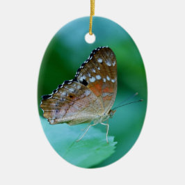 Ornamento De Cerâmica Belo Danaus Plexippus Butterfly em Folha.