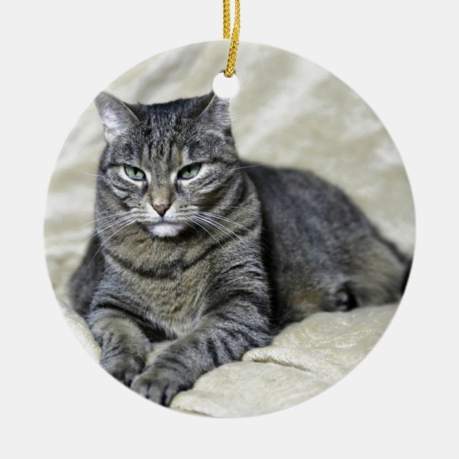 Ornamento De Cerâmica Belo Gato (Frente)
