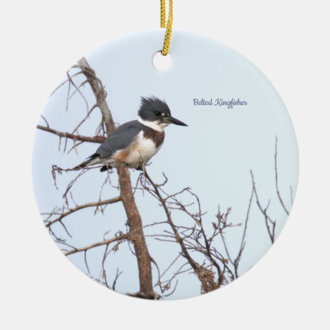 Ornamento De Cerâmica Belted Kingfisher Bird Ornament  (Frente)