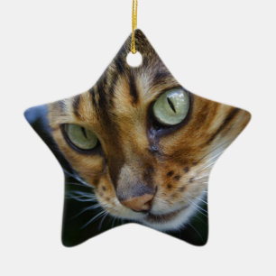 Ornamento De Cerâmica Bengala Cat