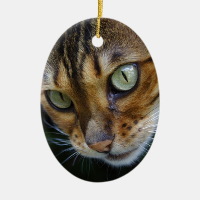 Ornamento De Cerâmica Bengala Cat (Frente)