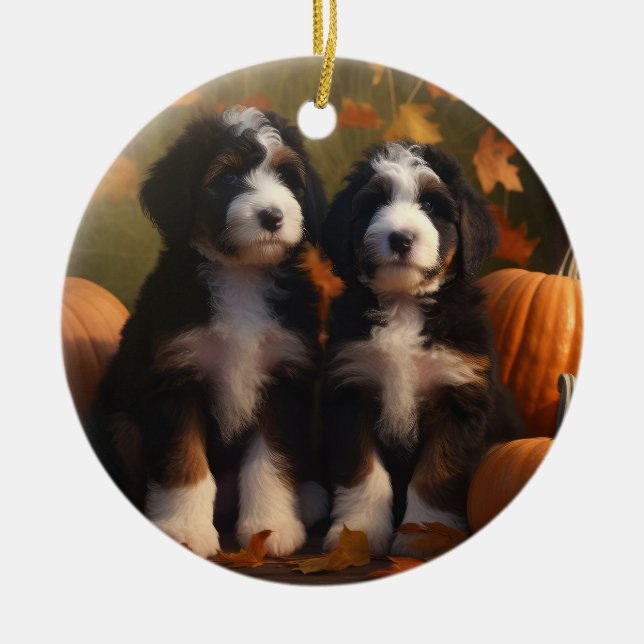 Ornamento De Cerâmica Bernedoodle Puppy Autumn Delight Pumpkin (Frente)