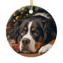 Bernese Mountain Dog Chrismas
