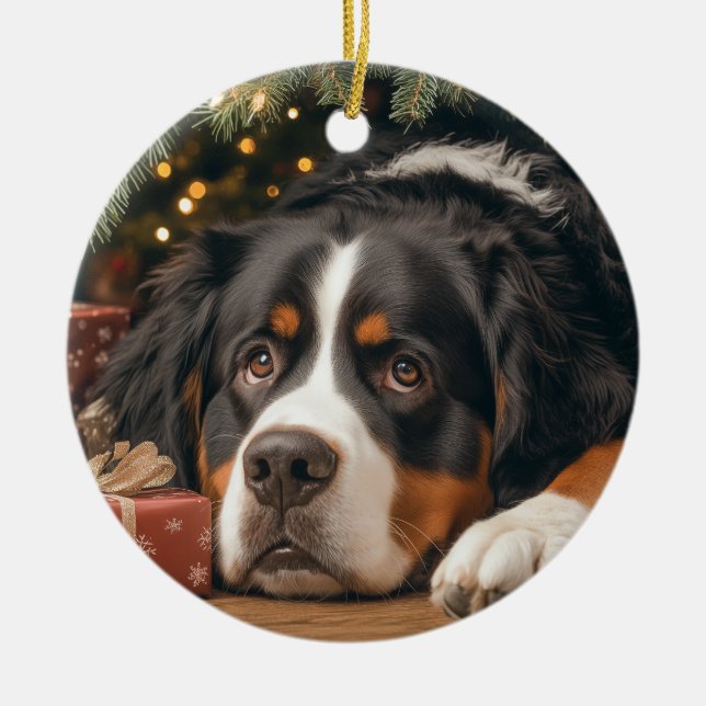 Ornamento De Cerâmica Bernese Mountain Dog Chrismas (Frente)