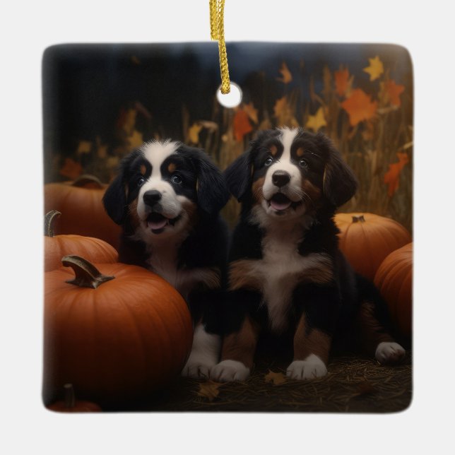 Ornamento De Cerâmica Bernese Mountain Puppy Autumn Delight Pumpkin (Frente)