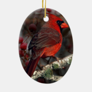 Ornamento De Cerâmica Berries brancos Cardeal Vermelho Primitivo de Nata
