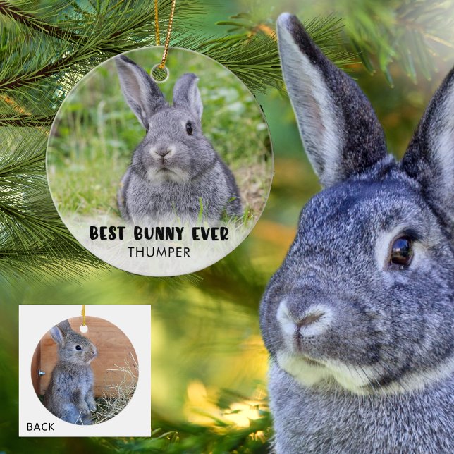 Ornamento De Cerâmica BEST BUNNY EVER Rabbit Photo Personalized (Criador carregado)