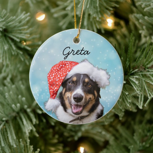 Ornamento De Cerâmica Best Dog Photo Pet Portrait Cat Snow Christmas (Árvore)