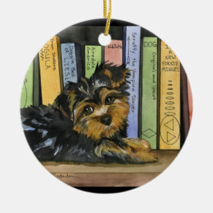 Ornamento De Cerâmica Biblioteca Cutie