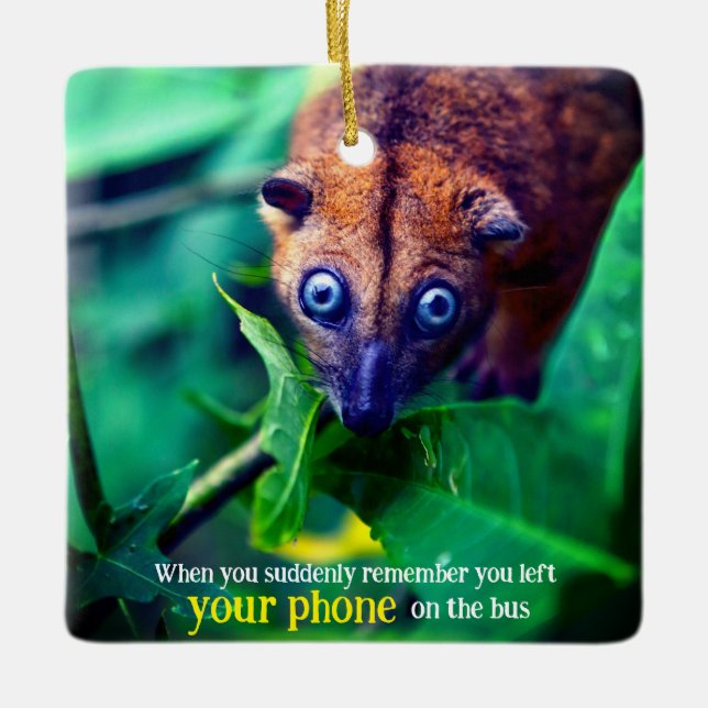 Ornamento De Cerâmica Big Eyed Possum (Frente)