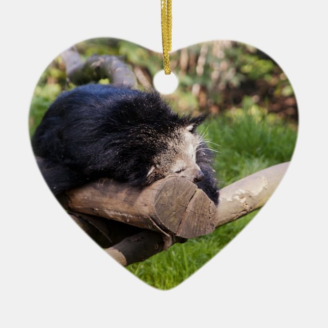 Ornamento De Cerâmica Binturong dormindo (Frente)
