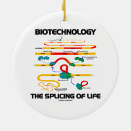 Ornamento De Cerâmica Biotecnologia a emenda da vida (RNA maduro)