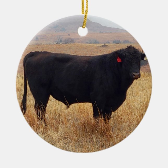 Ornamento De Cerâmica Black Angus Steer Grazing com sua manada (Frente)