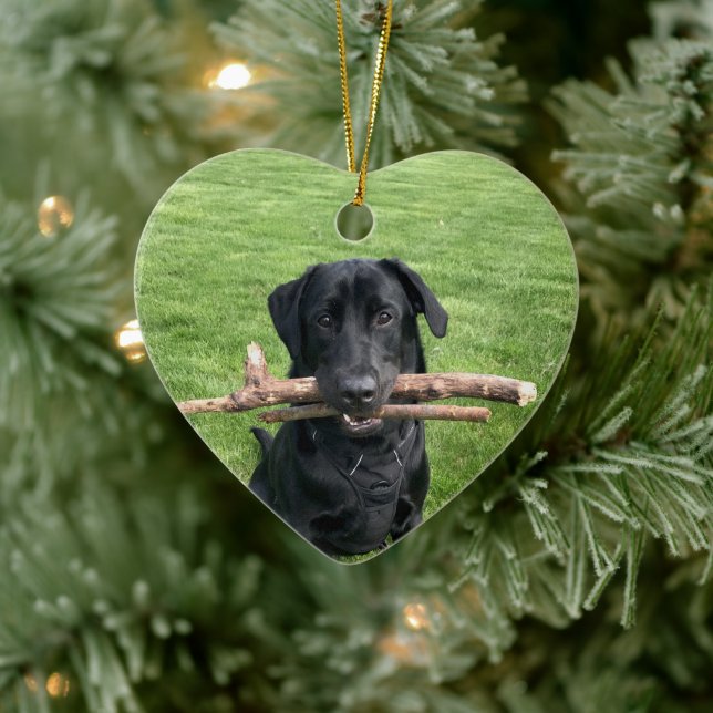 Ornamento De Cerâmica Black Lab with two sticks Dog Photo (Árvore)