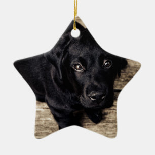 Ornamento De Cerâmica Black Labrador Retriever Puppy sobre madeira