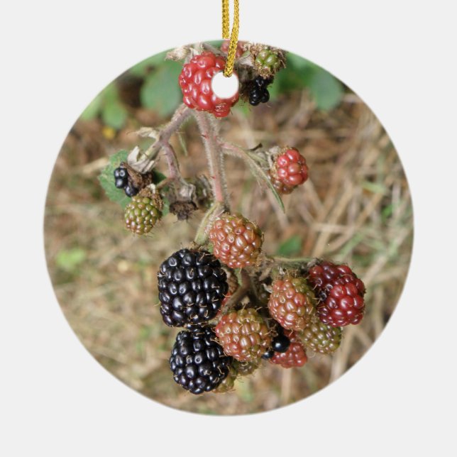 Ornamento De Cerâmica Blackberry Bonanza Custom Birthday (Frente)