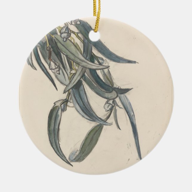 Ornamento De Cerâmica Bloeiende tak van een eucalyptus (Frente)