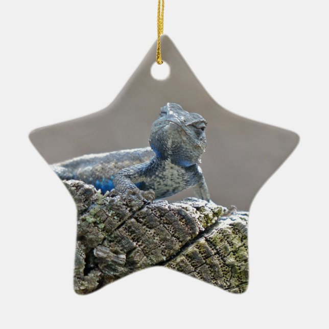 Ornamento De Cerâmica Blue Belly Alligator Lizard (Frente)