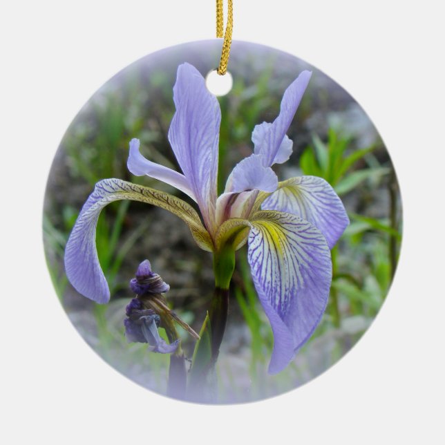 Ornamento De Cerâmica Blue Flag - Wild Iris (Frente)