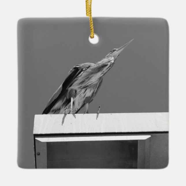 Ornamento De Cerâmica Blue Heron Ornament (Frente)