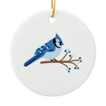 Blue Jay de inverno
