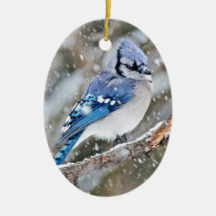 Ornamento De Cerâmica Blue Jay em uma tempestade de neve