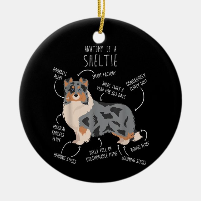 Ornamento De Cerâmica Blue Merle Sheltie Shetland Sheepdog Anatomia, Fun (Frente)