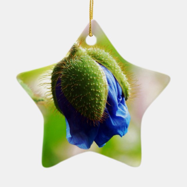 Ornamento De Cerâmica Blue Poppy (Frente)