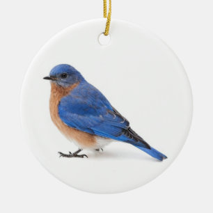Ornamento De Cerâmica Bluebird