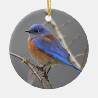 Ornamento De Cerâmica Bluebird ocidental