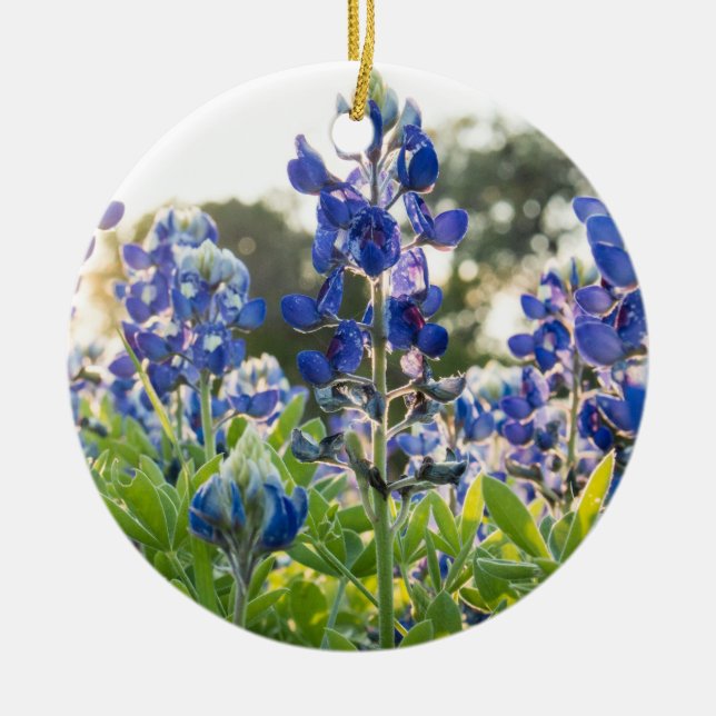 Ornamento De Cerâmica Bluebonnets Blue Flowers Texas Texan Lupine (Frente)