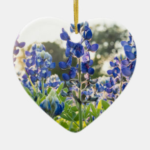 Ornamento De Cerâmica Bluebonnets Blue Flowers Texas Texan Lupine