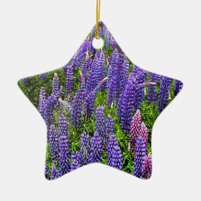 Ornamento De Cerâmica Bluebonnets Blue Flowers Texas Texan Lupine (Frente)