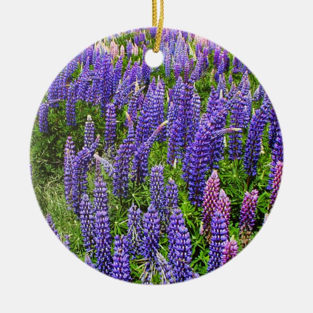 Ornamento De Cerâmica Bluebonnets Blue Flowers Texas Texan Lupine (Frente)